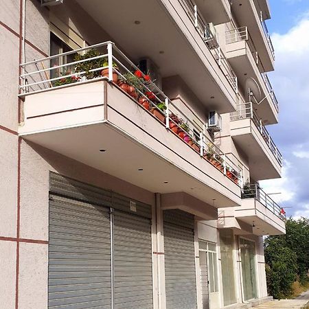 Drini Apartments Përmet Extérieur photo